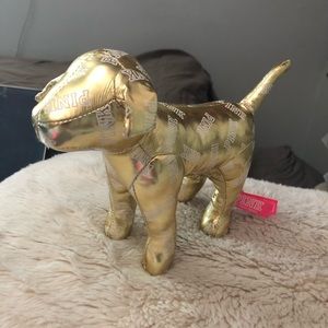gold VS PINK mini dog
